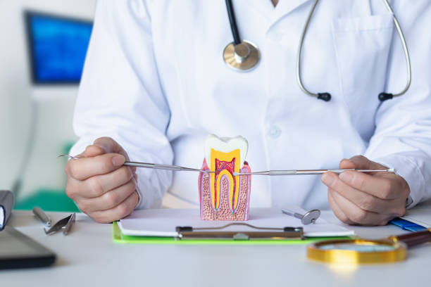 Best Broken or Cracked Tooth Emergency Dentist in Bellbrook, OH
